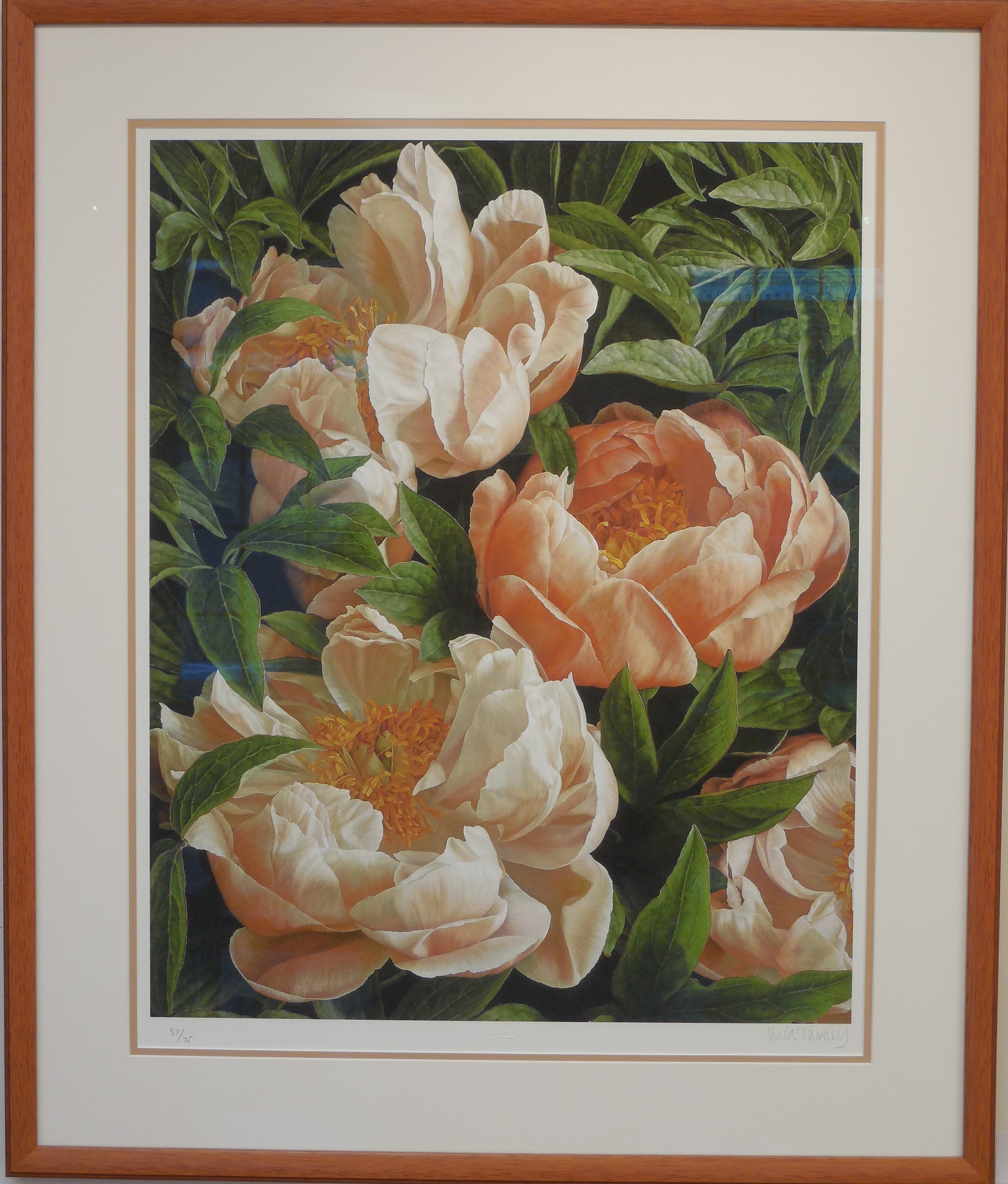 Mia Tarney Giclee